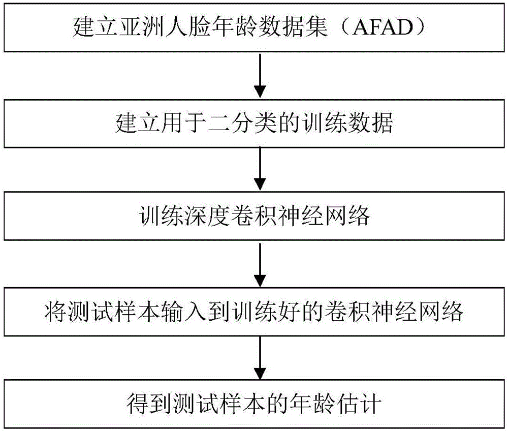 Age estimation method based on multi-output convolution neural network and ordered regression