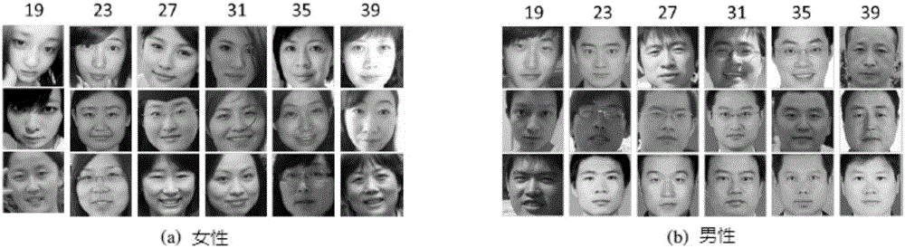 Age estimation method based on multi-output convolution neural network and ordered regression