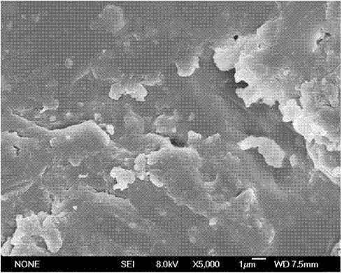 Corn recombinant rice and producing method thereof