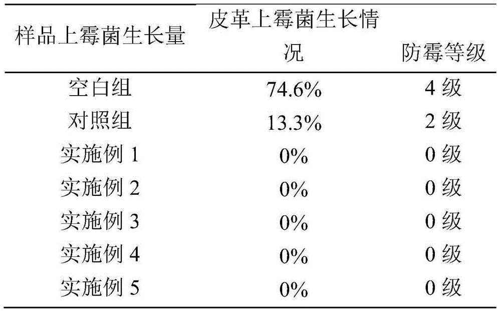 Mildew-proof antibacterial cleansing paste, preparation method and application thereof