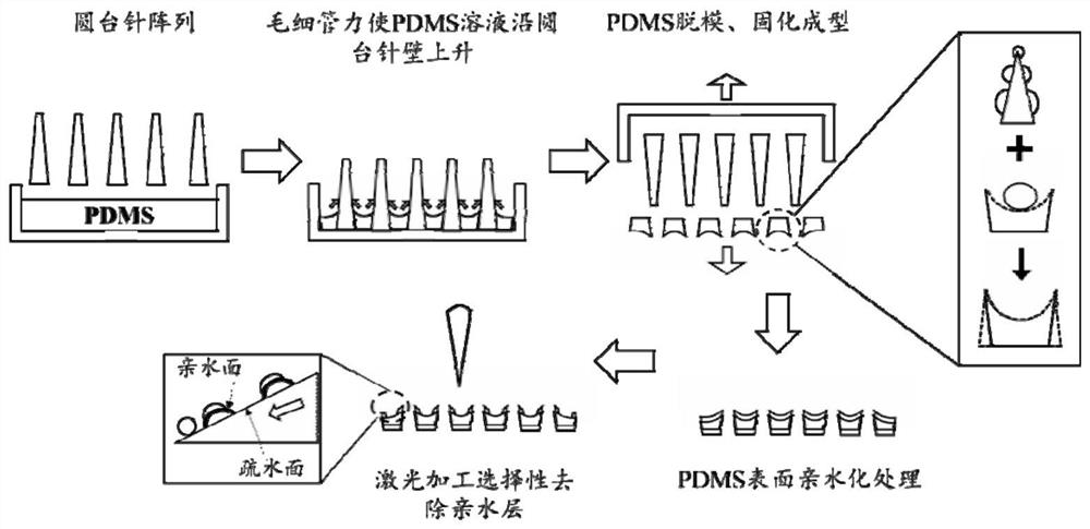 A multi-biomimetic mist water collecting structure and preparation method thereof