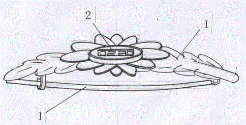 Hairpin with electronic meter