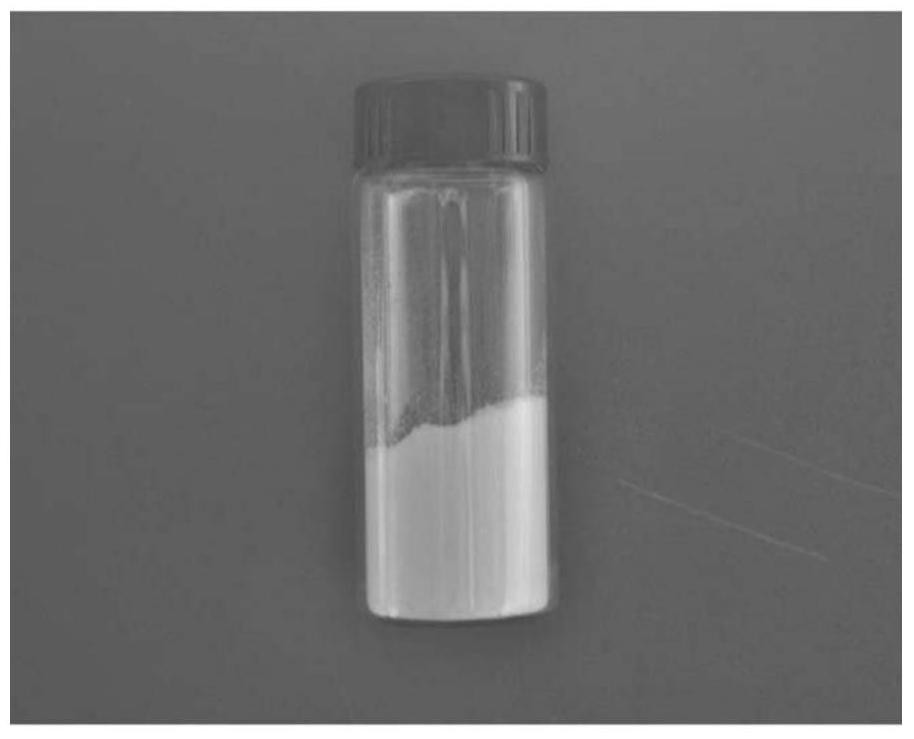 A starch-based microporous hemostatic material with antibacterial properties and its preparation method and application