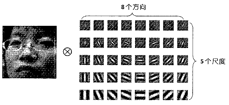 Gabor human face recognizing method based on simplified intelligent single-particle optimizing algorithm