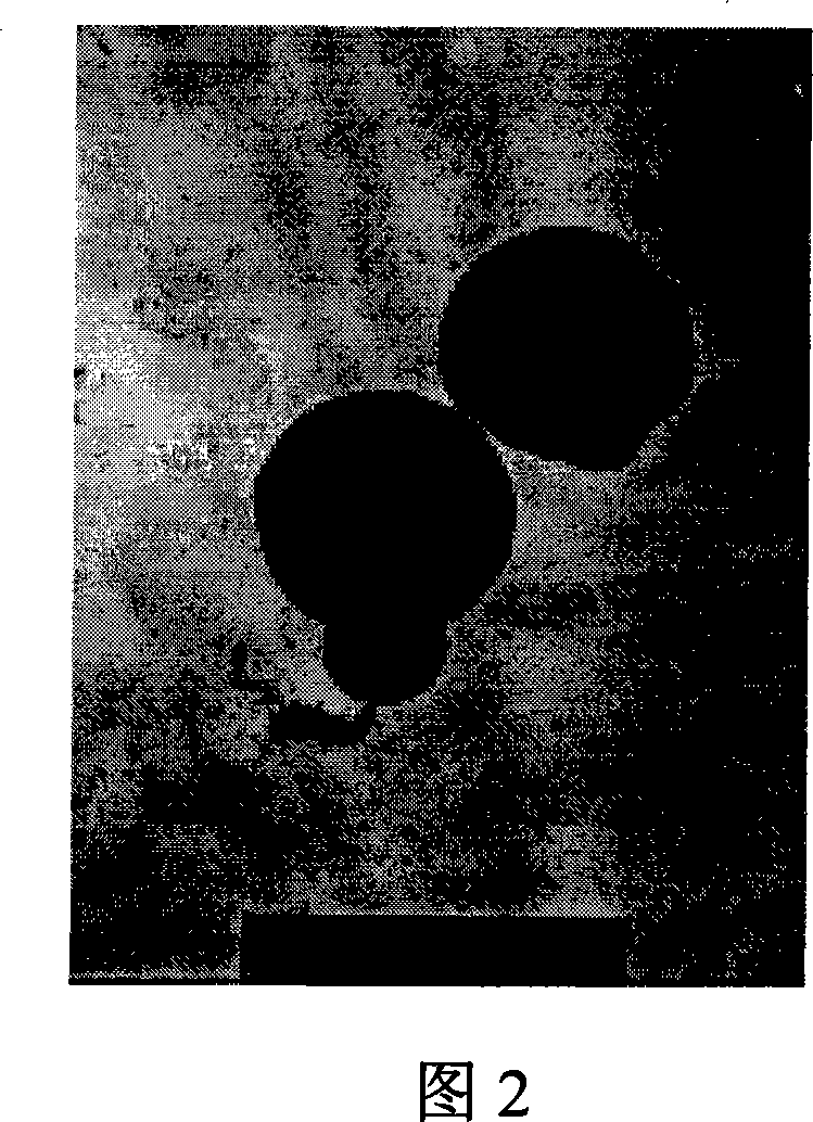 Nanometer Al contained Ni and the preparing method