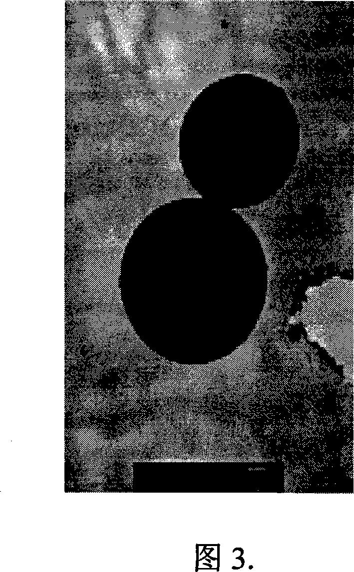 Nanometer Al contained Ni and the preparing method