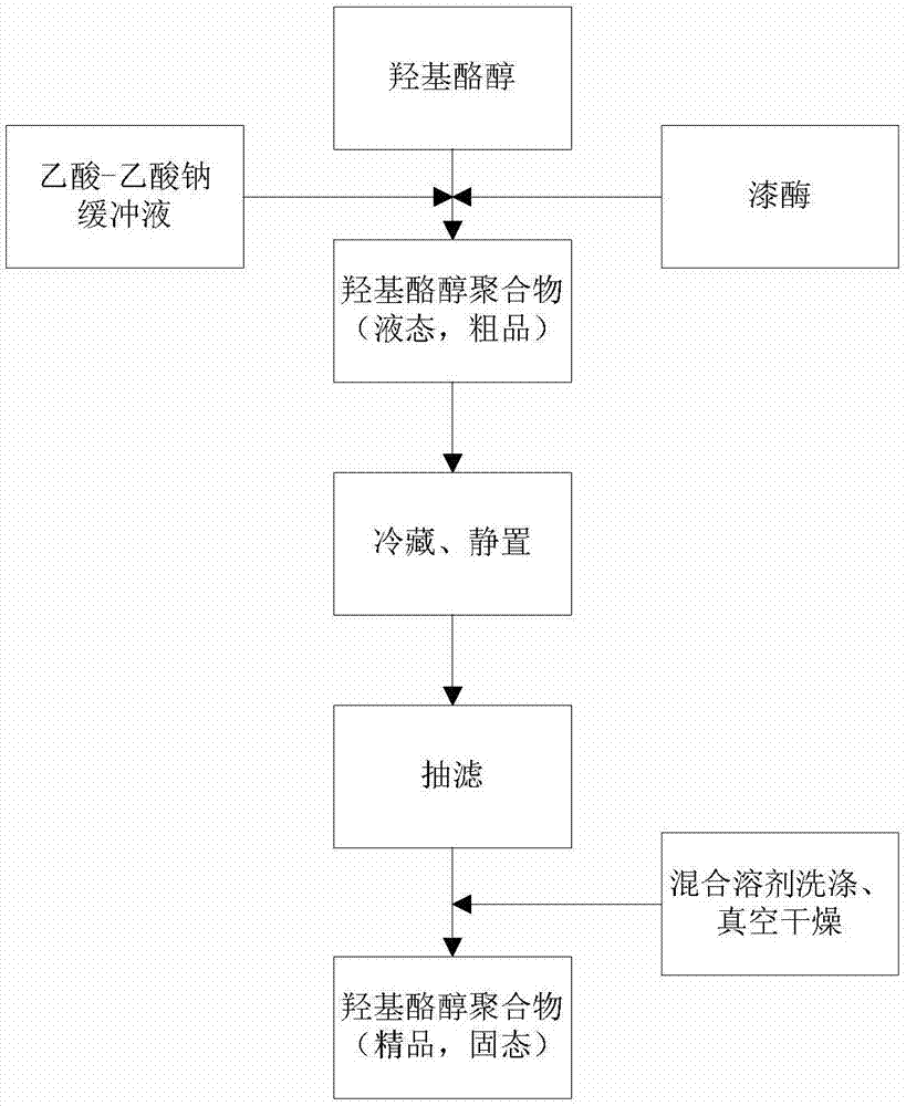 Hydroxytyrosol polymer having high antioxidation and thermal stability and preparation method thereof