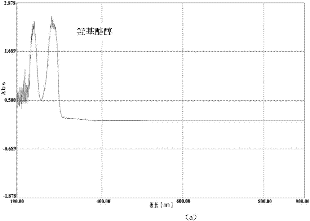 Hydroxytyrosol polymer having high antioxidation and thermal stability and preparation method thereof