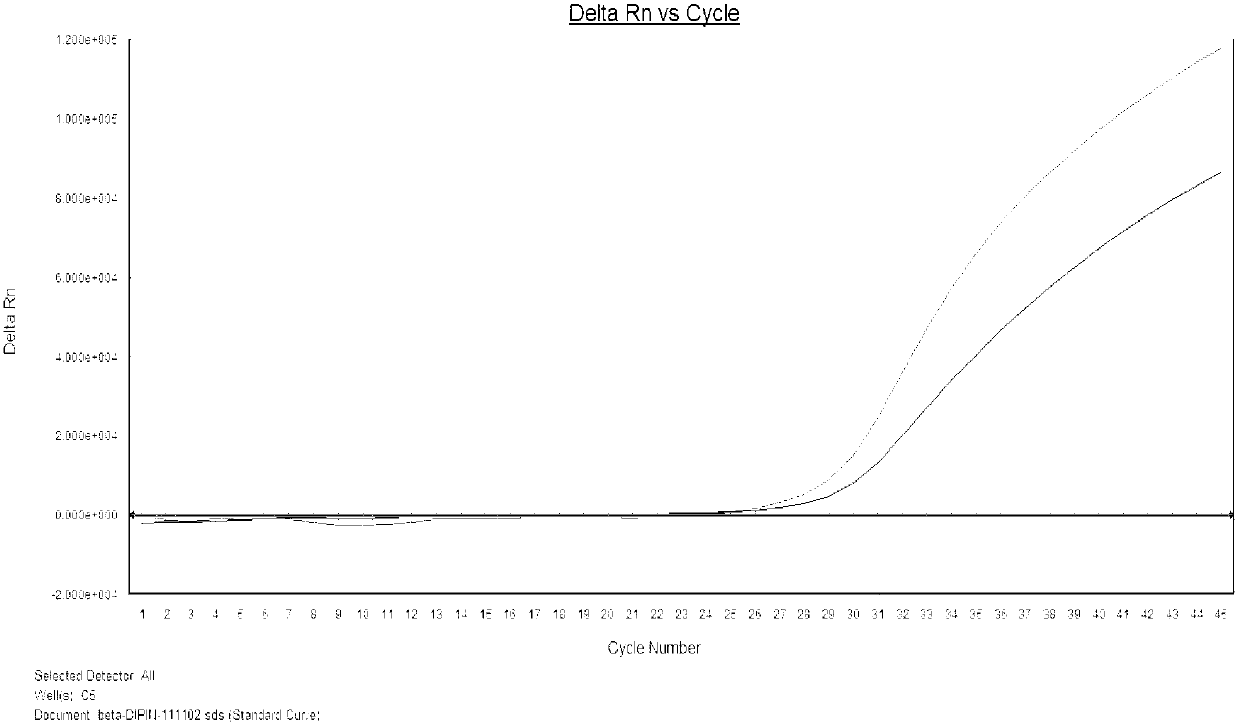 Fluorescence quantitative PCR detection kit for beta-thalassemia mutation