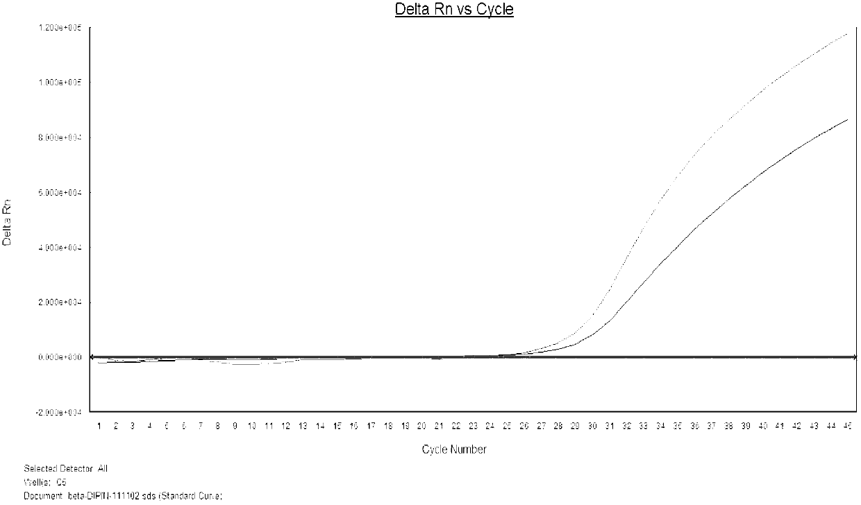 Fluorescence quantitative PCR detection kit for beta-thalassemia mutation