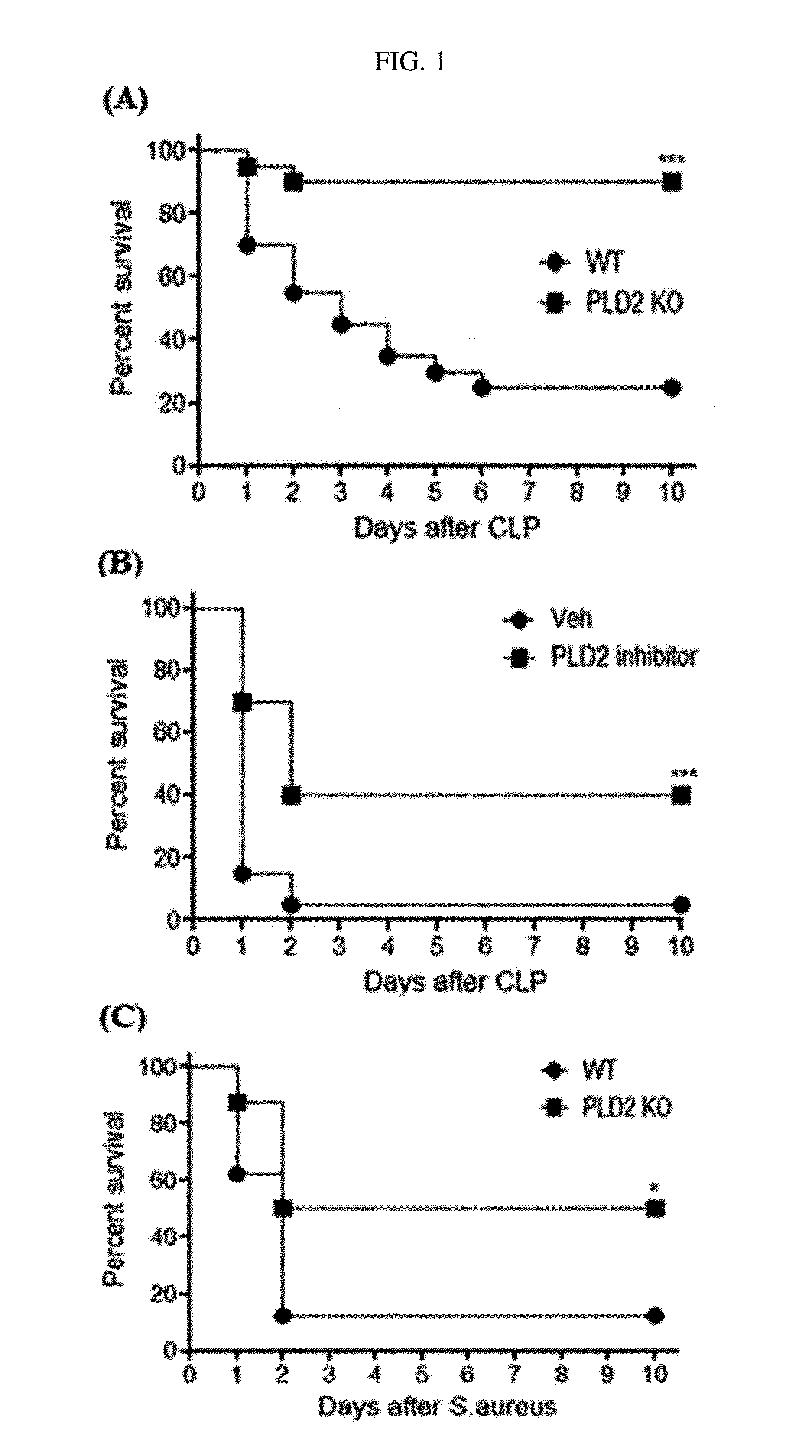 Composition for preventing or treating bacterial infectious disease comprising phospholipase D2 inhibitor