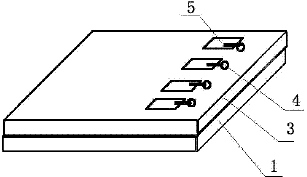 Organic light emitting diode (OLED) display unit and OLED display device adopting display unit