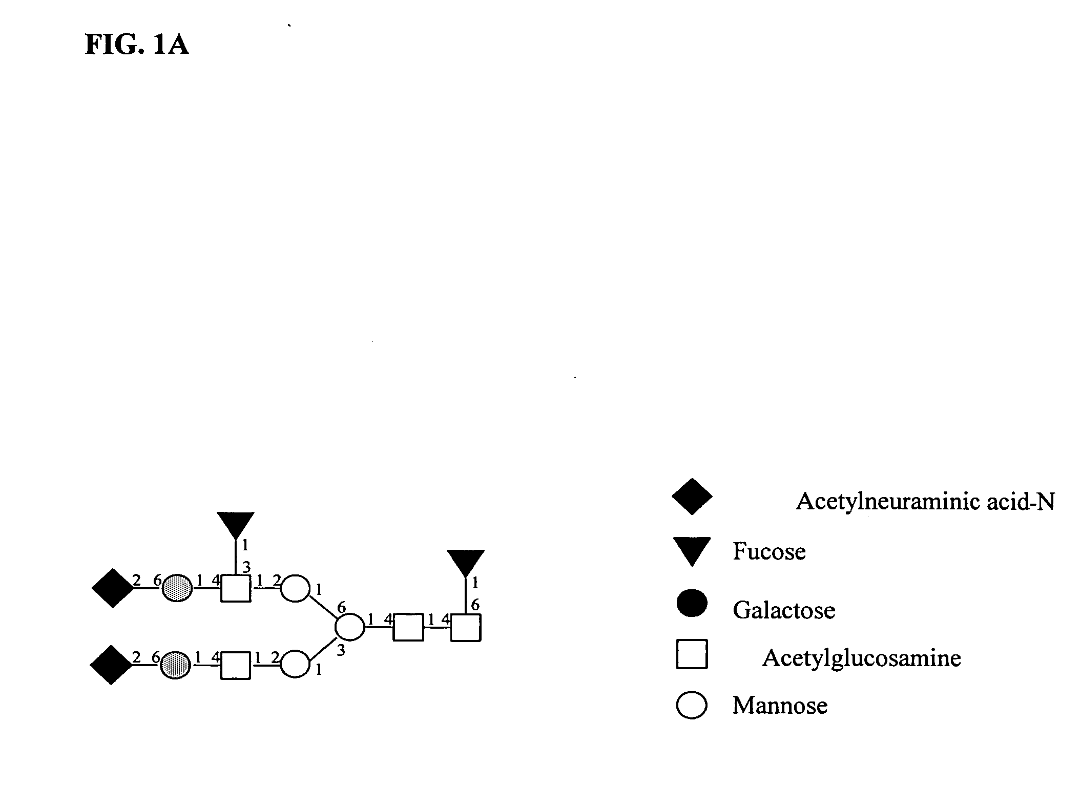 Method for analyzing a glycomolecule