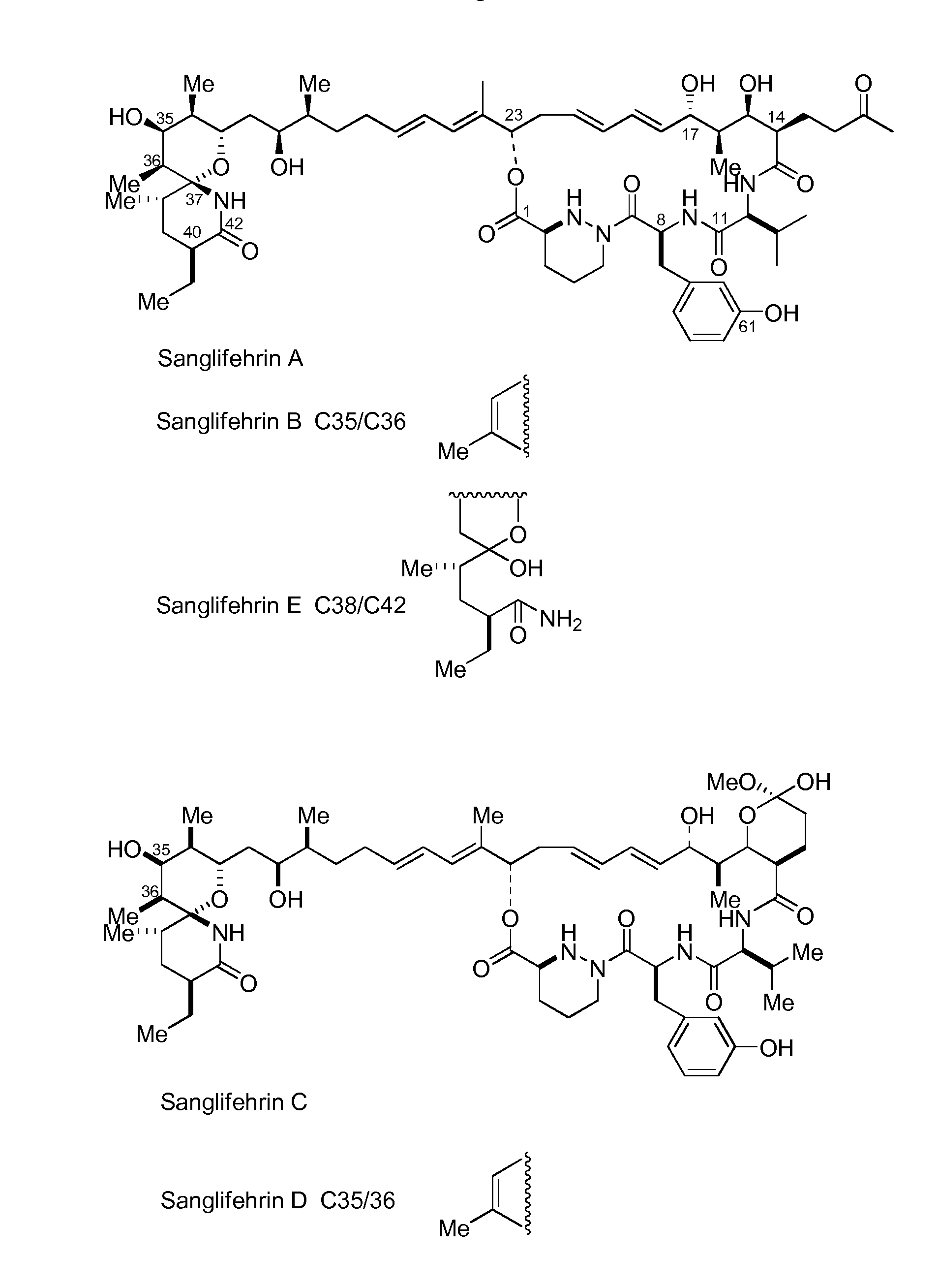 Novel Gene Cluster