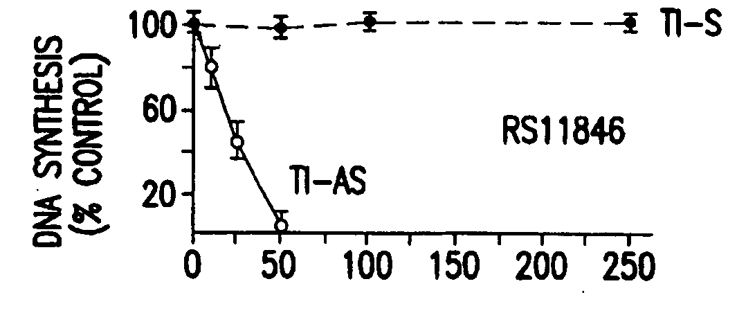 Regulation of bcl-2 gene expression