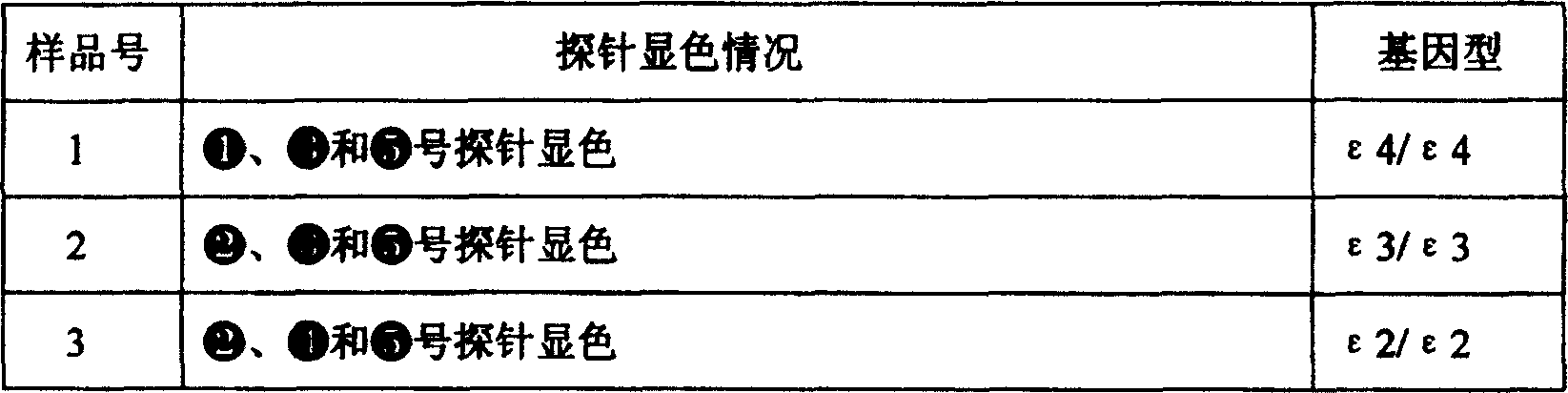 Method of detecting apolipoprotein E gene type and kit