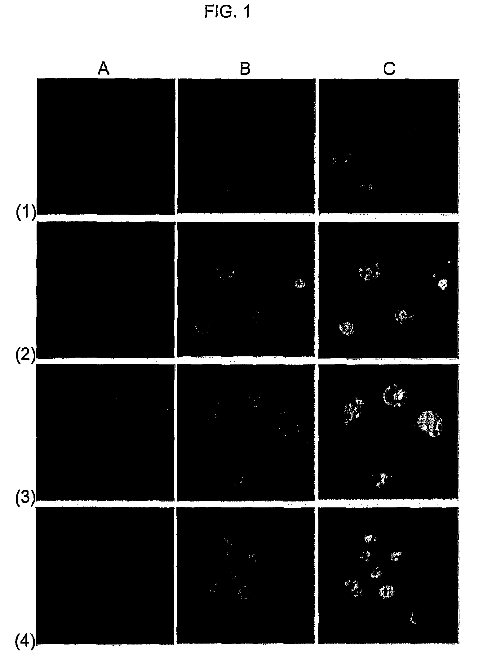 Molecular transporters based on sugar and its analogues and processes for the preparation thereof