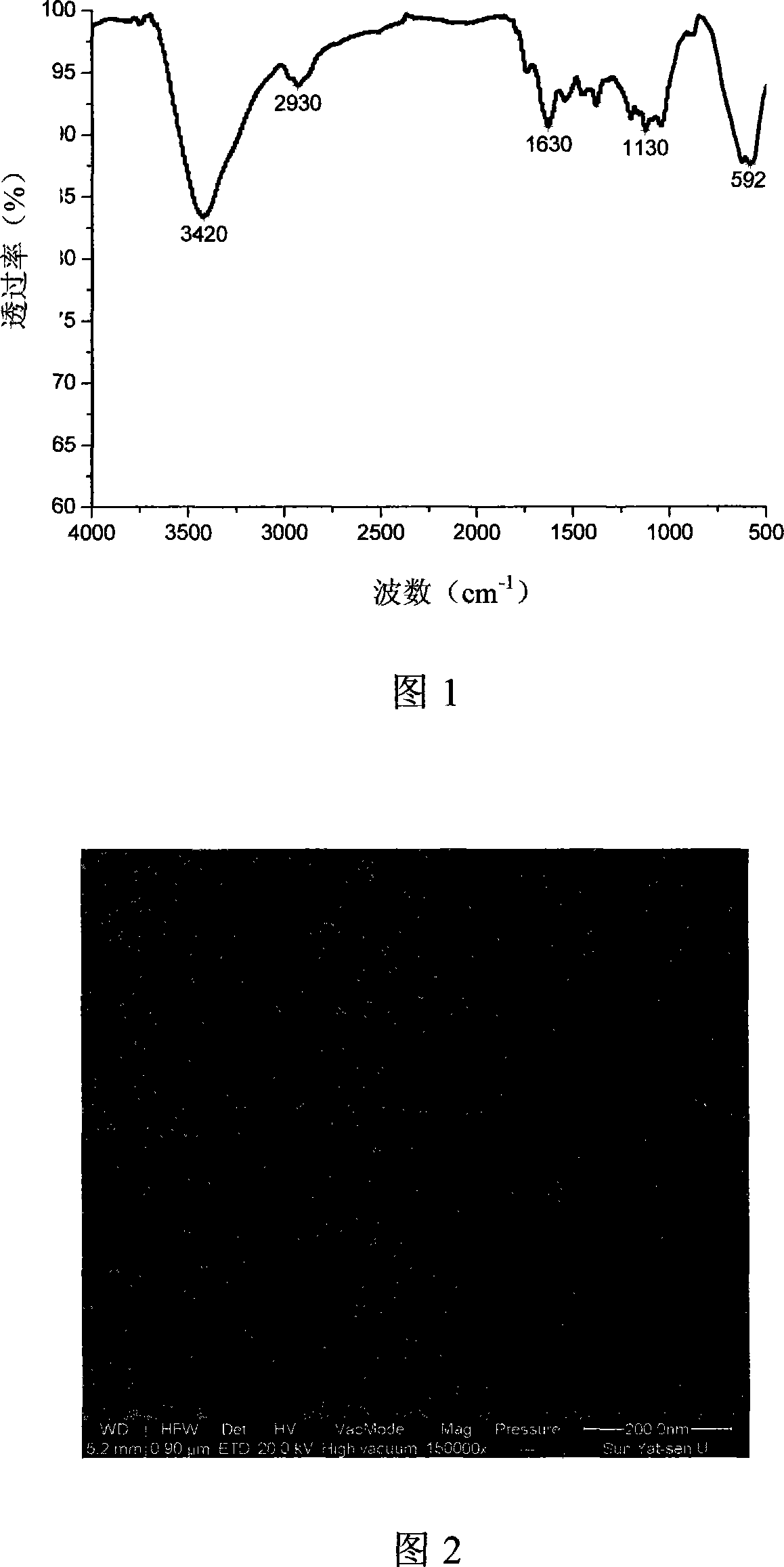 Magnetic temperature sensing nano-particle with bioavailability and synthesizing method thereof