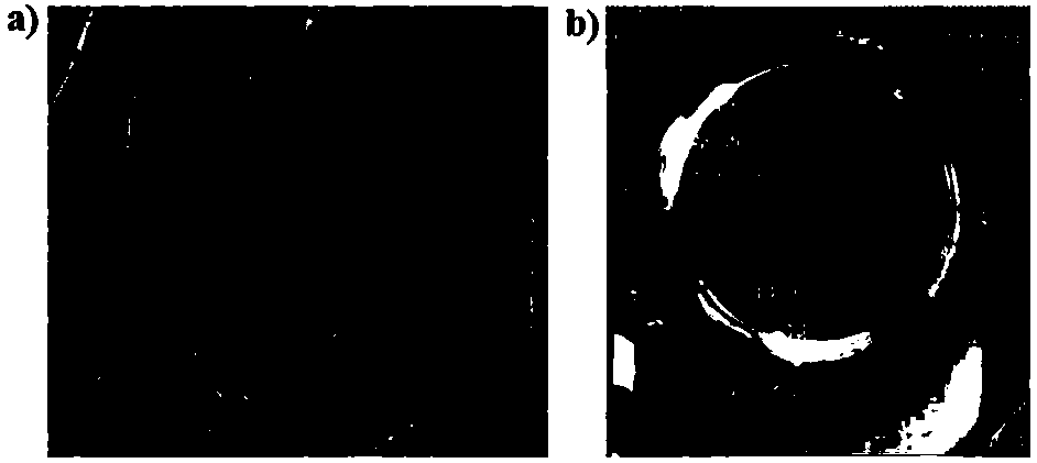 Preparation method of hydrophilic anti-fog film with wear resistance and frost resistance