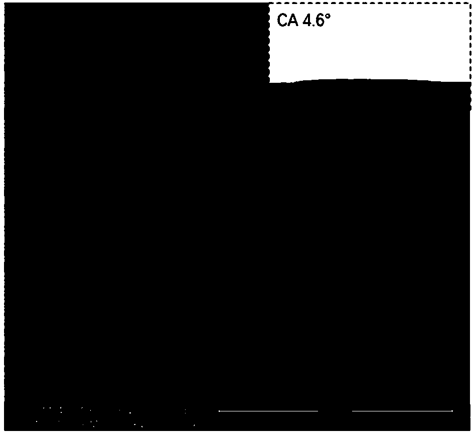 Preparation method of hydrophilic anti-fog film with wear resistance and frost resistance