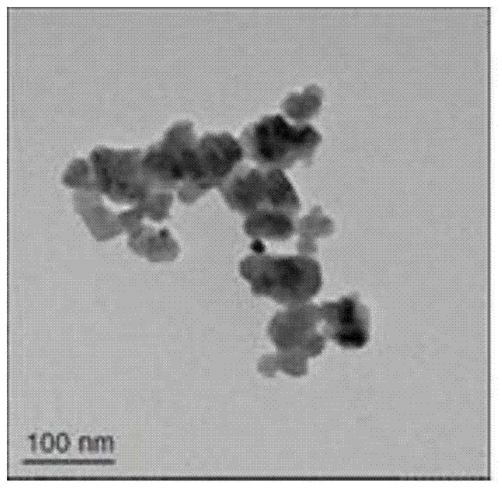 A kind of nanometer boron phosphate catalyzes charcoal flame retardant epoxy resin and preparation method thereof