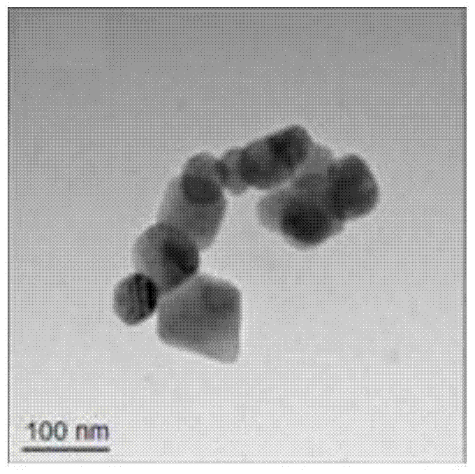 A kind of nanometer boron phosphate catalyzes charcoal flame retardant epoxy resin and preparation method thereof