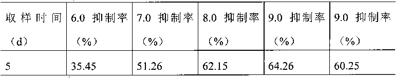 Alpha-glucosidase inhibitor and preparation method thereof