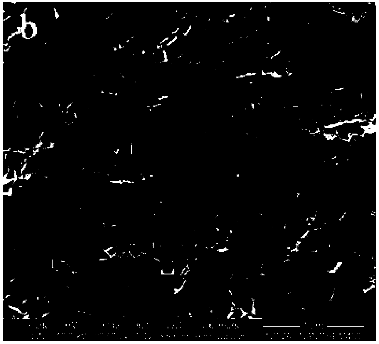 a kind of nife  <sub>3</sub> n/nf electrochemical catalyst and its preparation method and application