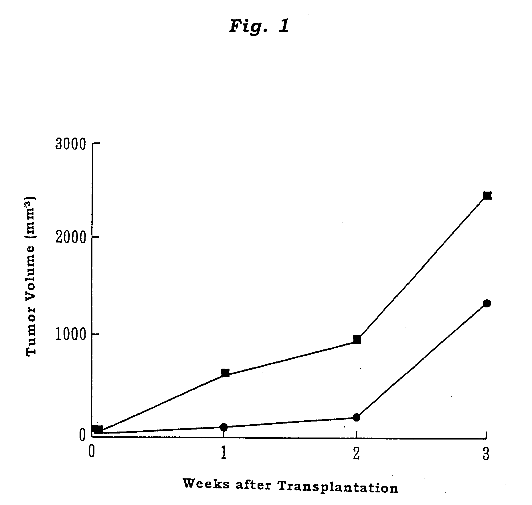 Adult T cell leukemia model animal