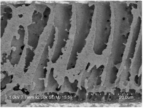 Interdigital electrode material with vertical orientation three-dimensional structure and preparation method and application thereof