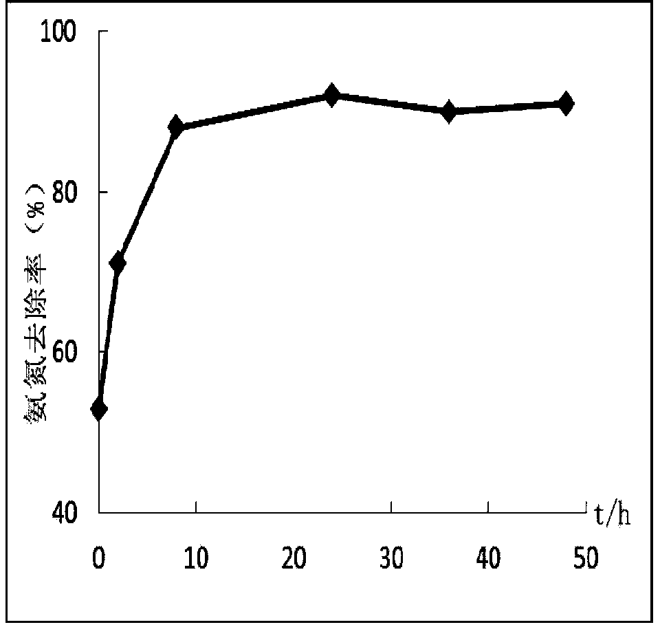 Ammonia oxidizing bacterium enriching device and method suitable for purifying micro-polluted water and application of ammonia oxidizing bacterium enriching device and method