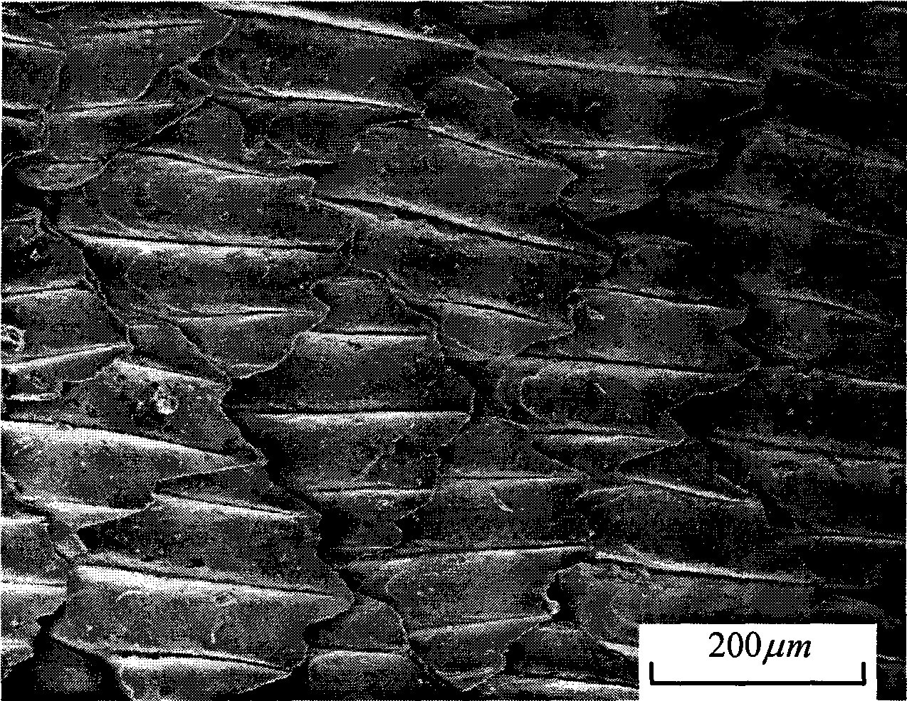 Shark intimating covering having self-lubricating groove and composite anti-drag function and manufacturing method thereof