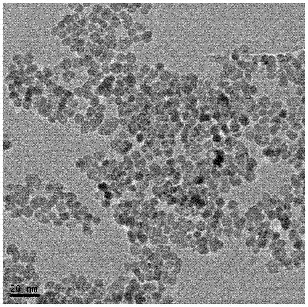 Preparation method of zinc oxide nanoparticle lithium ion battery negative electrode material with high specific capacity