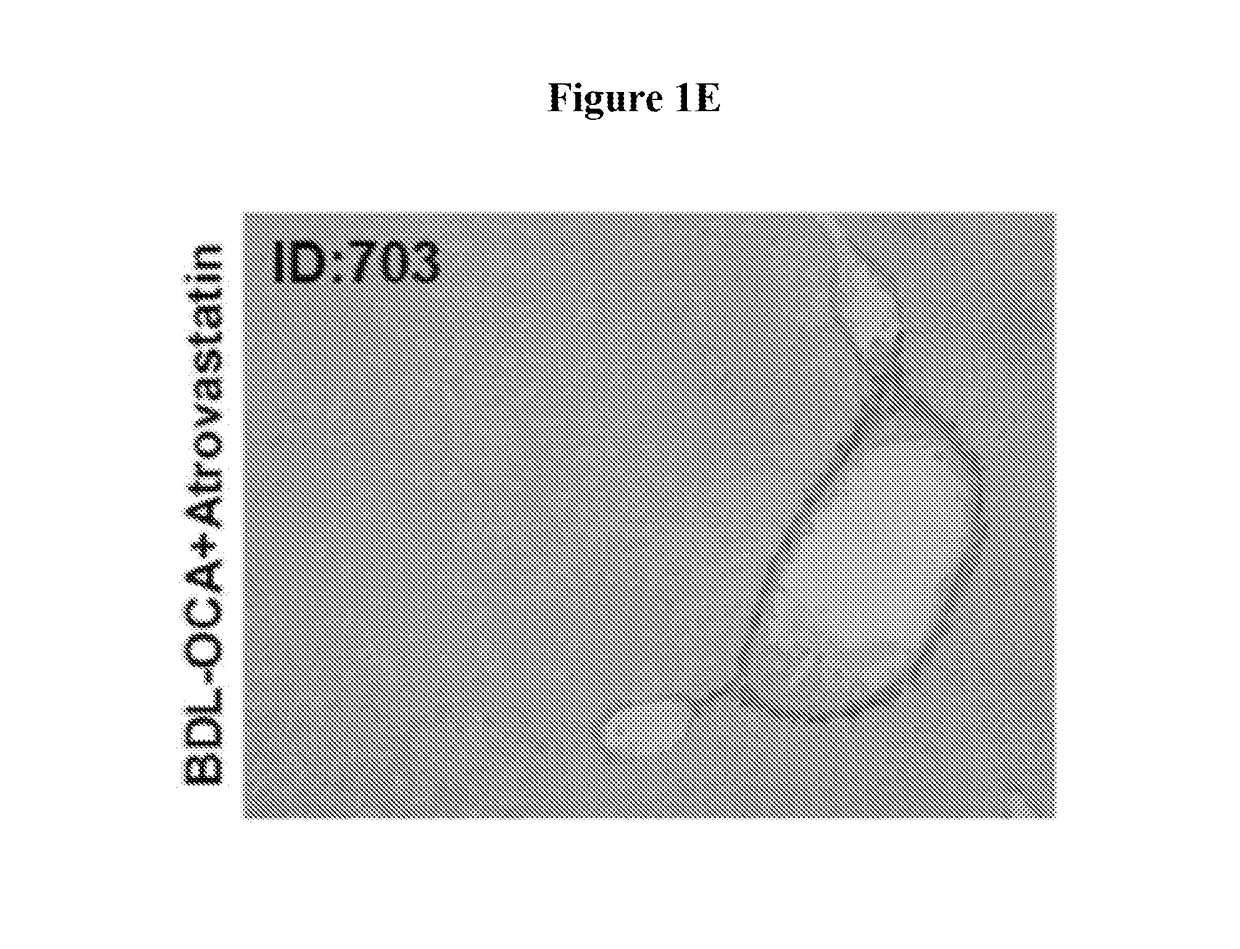 Pharmaceutical compositions for combination therapy