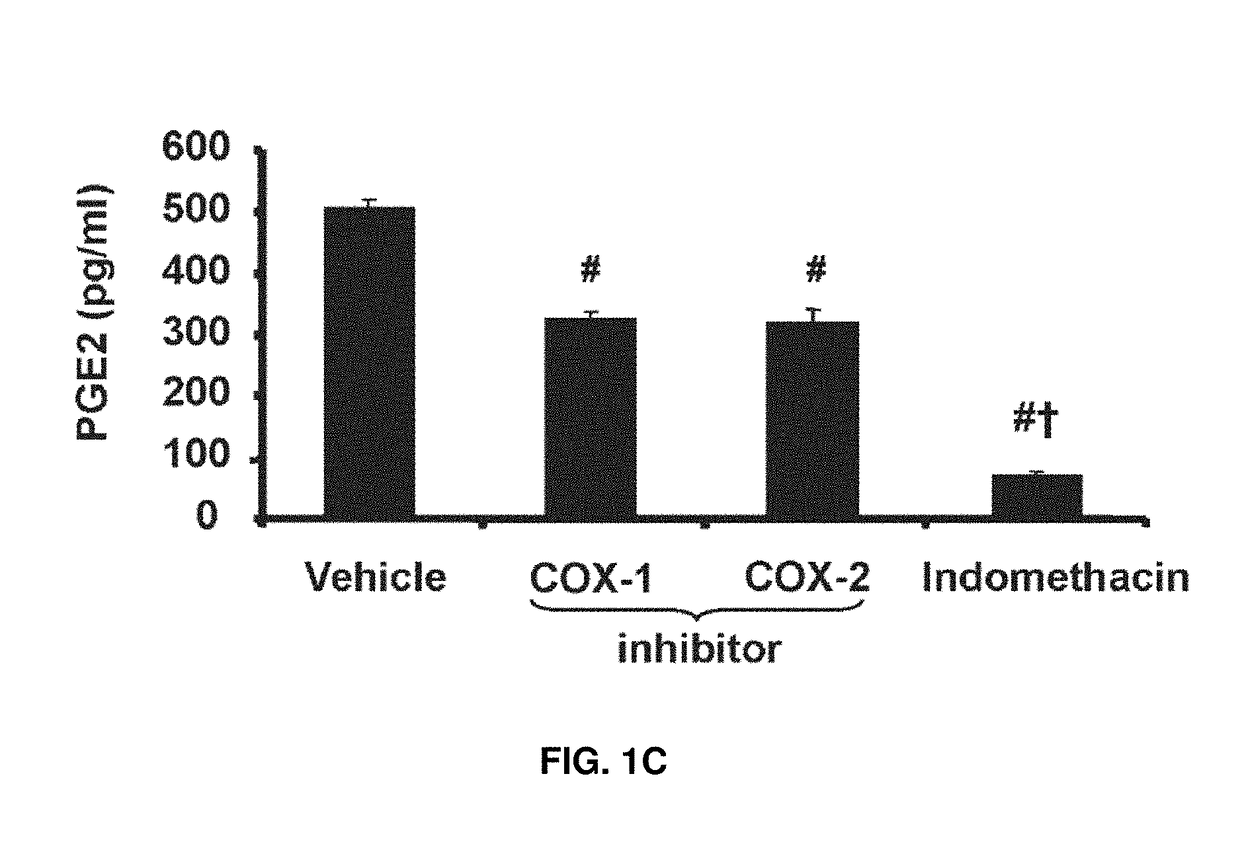 Analogs of peroxisome proliferator activated receptor (PPAR) agonists, and methods of using the same