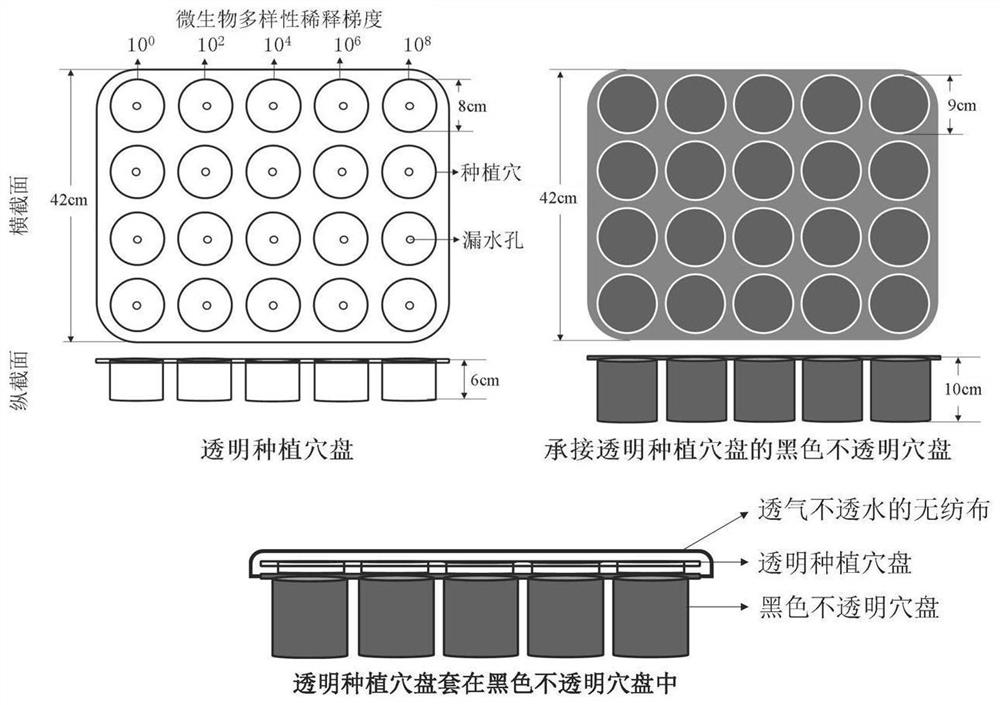 Research method of soil microbial diversity and plant stress interaction