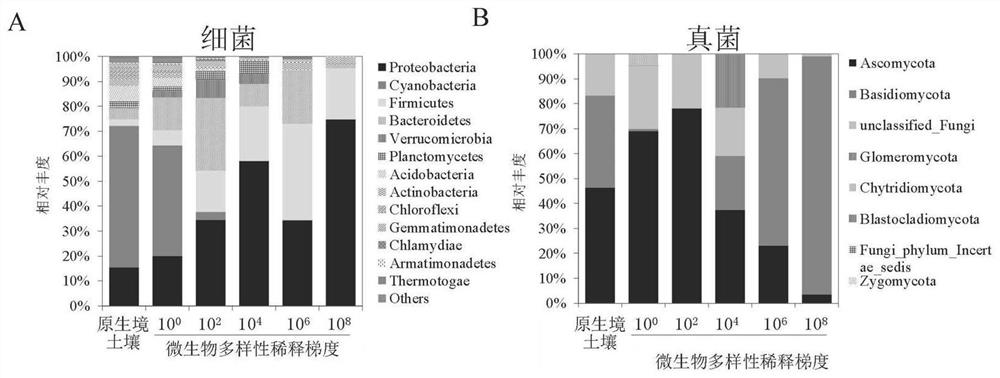 Research method of soil microbial diversity and plant stress interaction