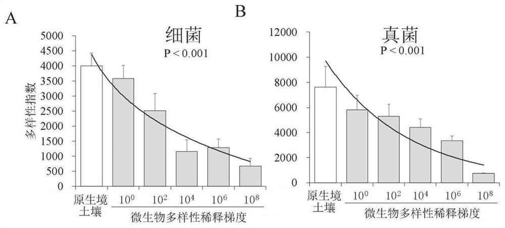 Research method of soil microbial diversity and plant stress interaction