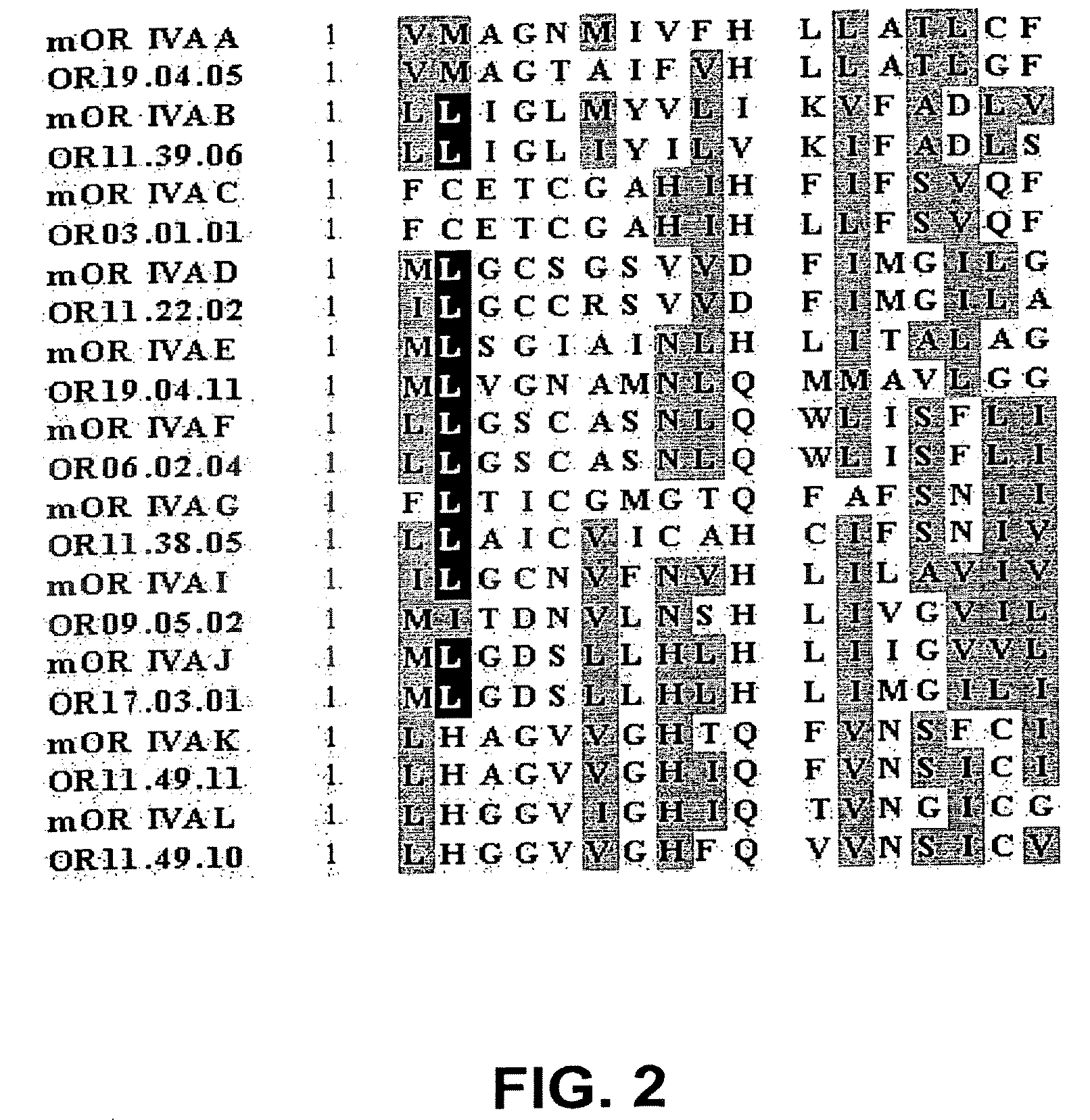 Olfactory receptors for isolvaleric acid and related malodorants and use thereof in assays for identification of blockers