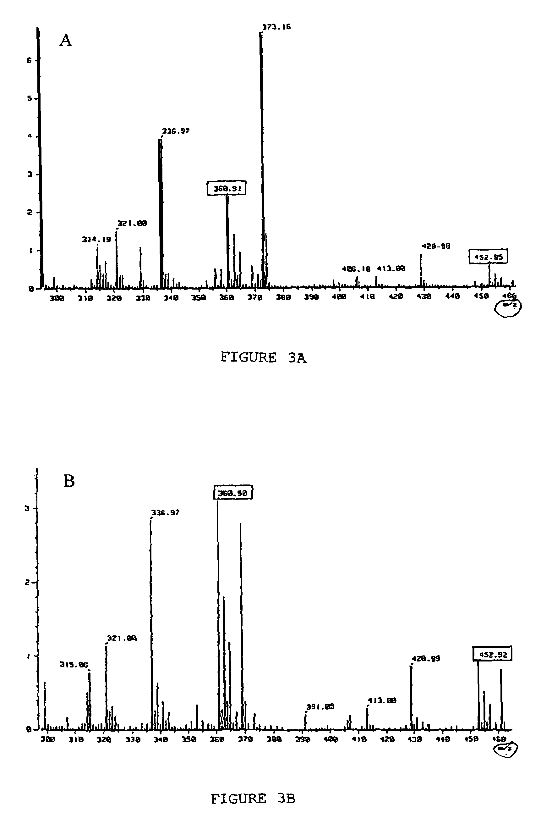 Detection of antibacterial activity in excretory secretory product of adult Trichuris suis