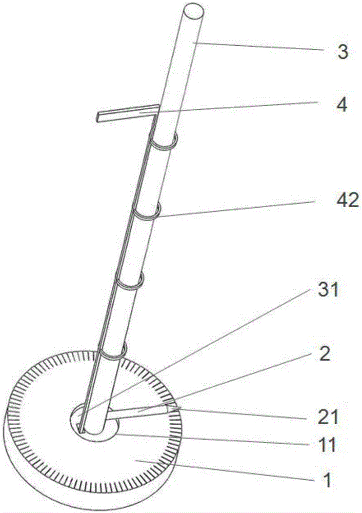 Angle gauge for measuring aortic sinus angle