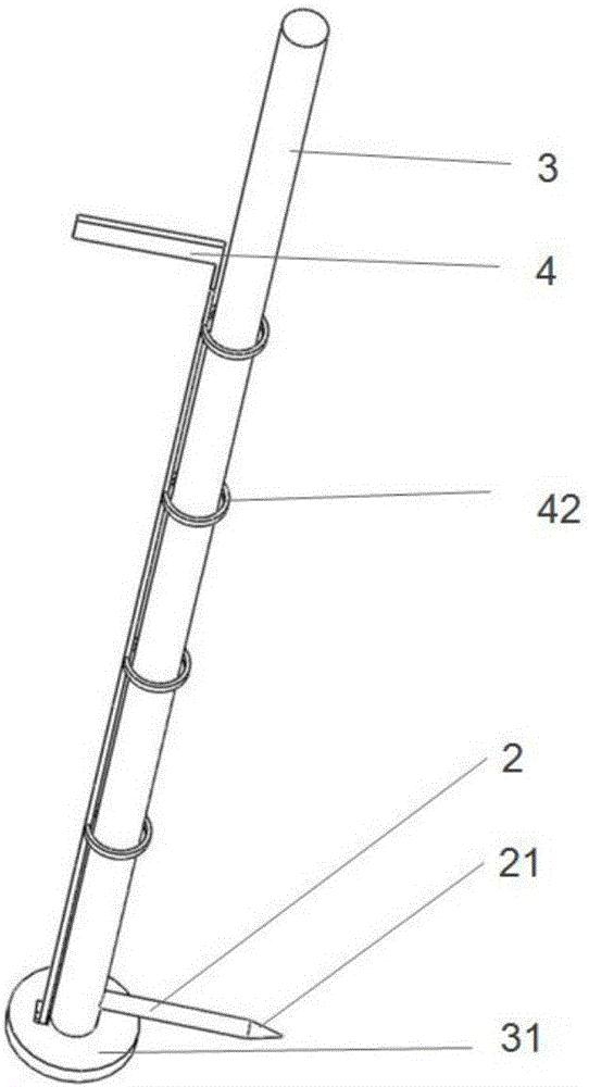 Angle gauge for measuring aortic sinus angle