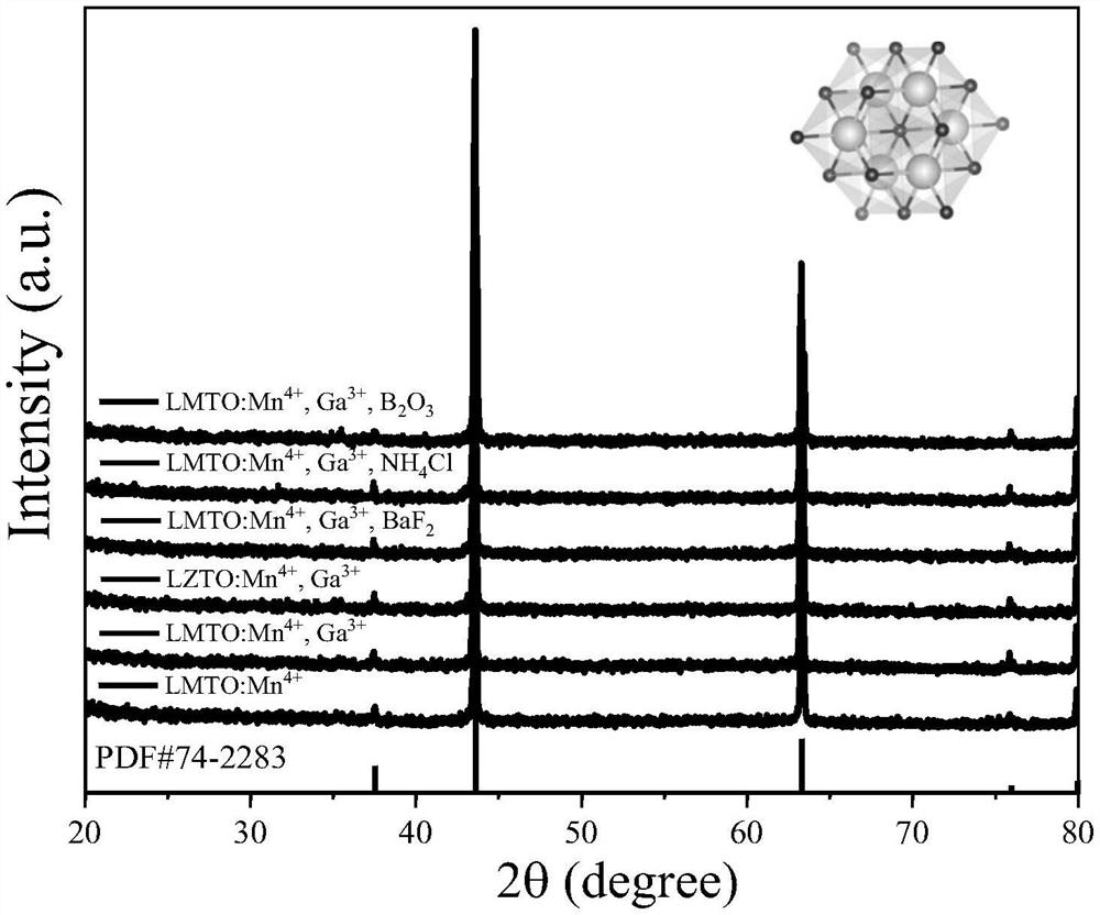 Dark red fluorescent powder for plant growth lamp and preparation method thereof