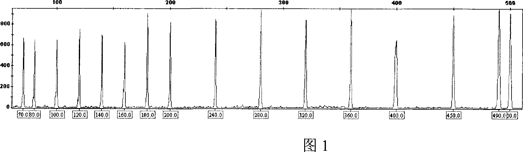 Method for preparing internal standard of molecular weight, and internal standard of molecular weight prepared by using the method