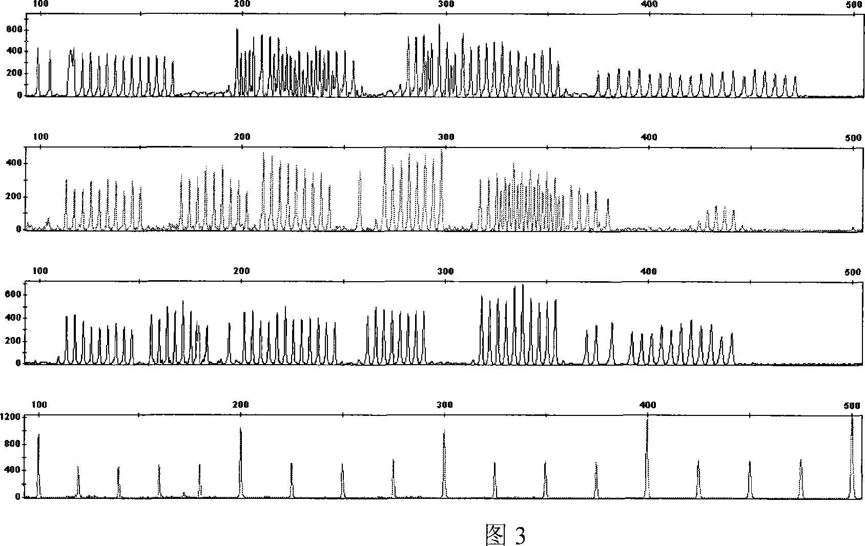 Method for preparing internal standard of molecular weight, and internal standard of molecular weight prepared by using the method