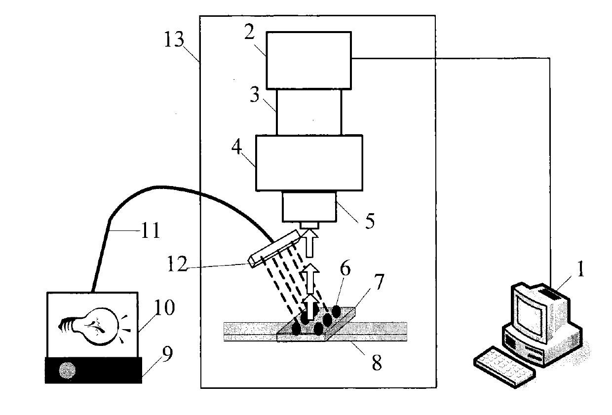 Hyperspectral-image-technology-based multi-quality nondestructive testing method for dried green soybeans