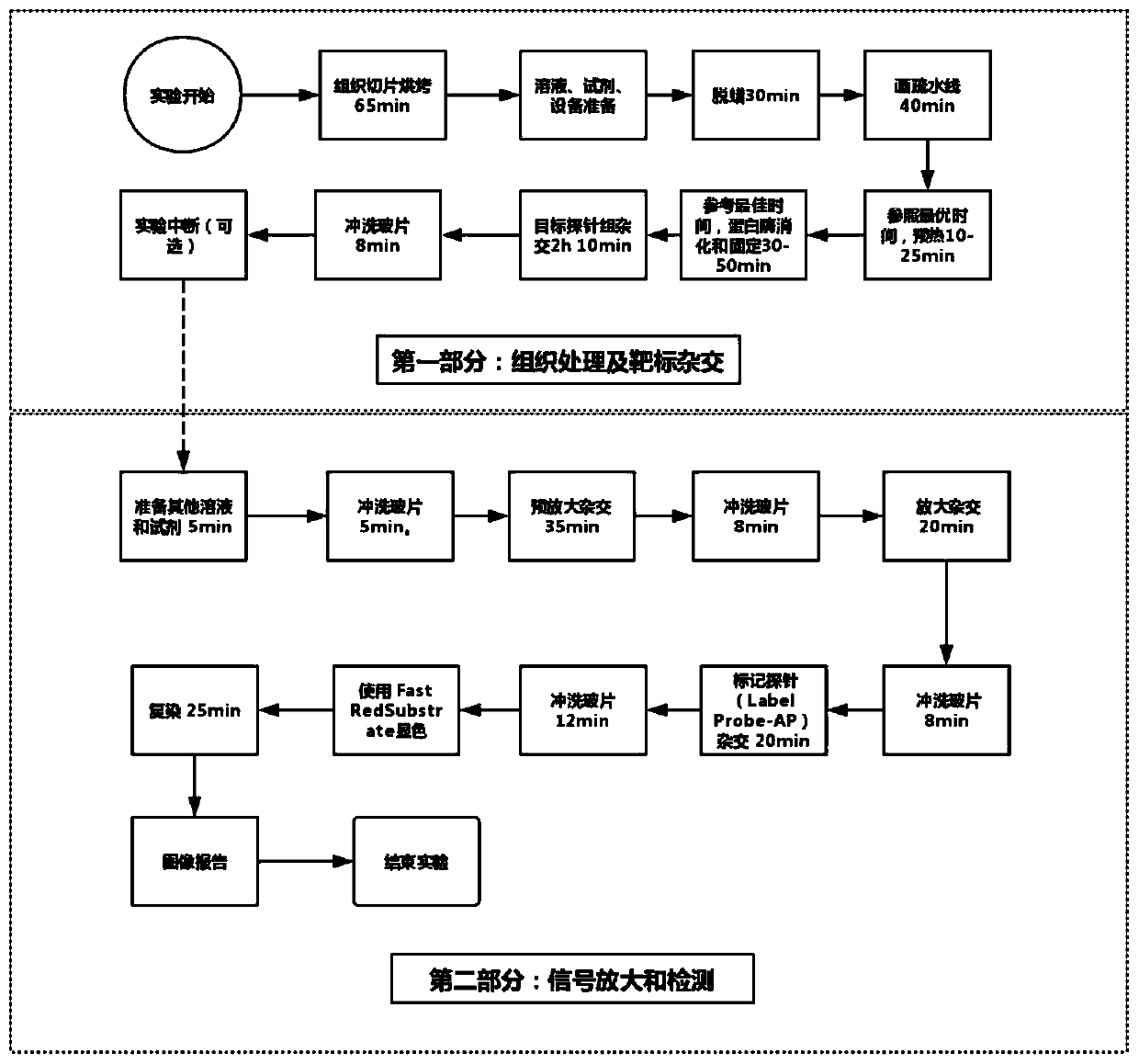 Kit and method for detecting programmed cell death 1 ligand 1 (PD-L1) mRNA on tissue