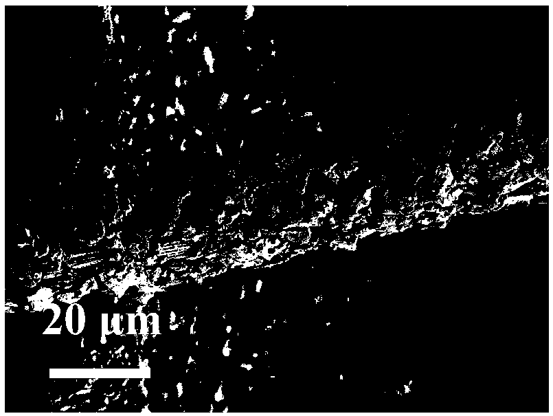 Photothermal biological anode, preparation method thereof and application of photothermal biological anode