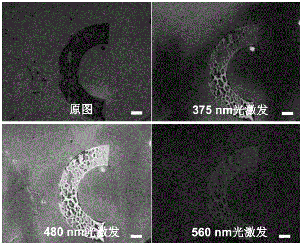 Preparation method and application of carbon dot photonic crystal having opal structure or inverse opal structure