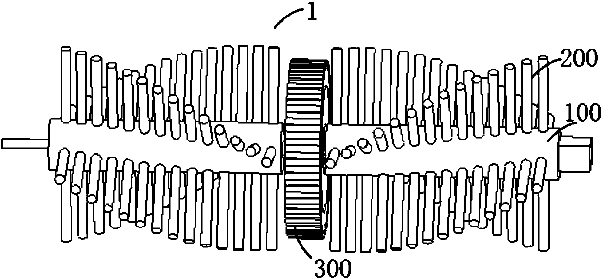 Roller brush assembly of dust collector and dust collector with roller brush assembly